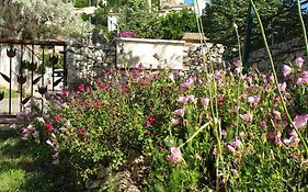 Pause couleur Lavandula
