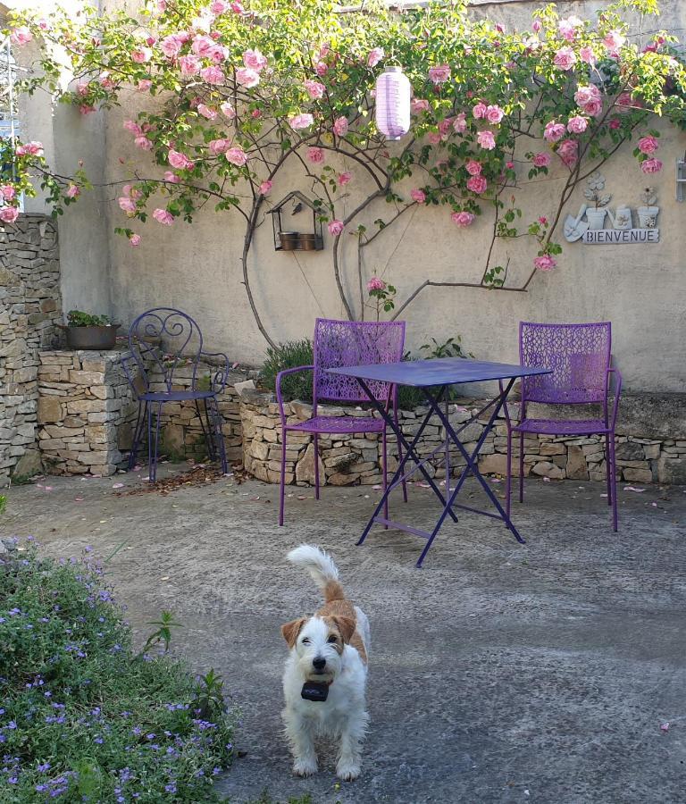 Pause couleur Lavandula Roussas Extérieur photo