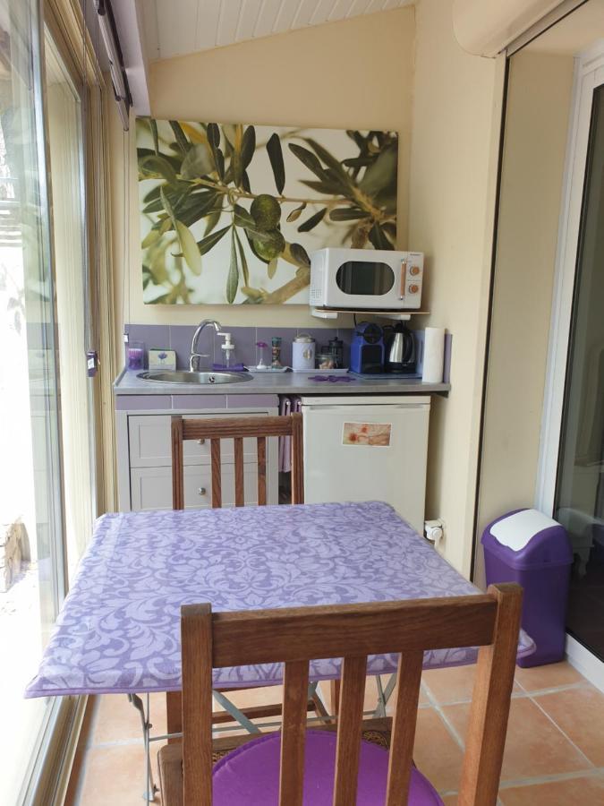 Pause couleur Lavandula Roussas Extérieur photo