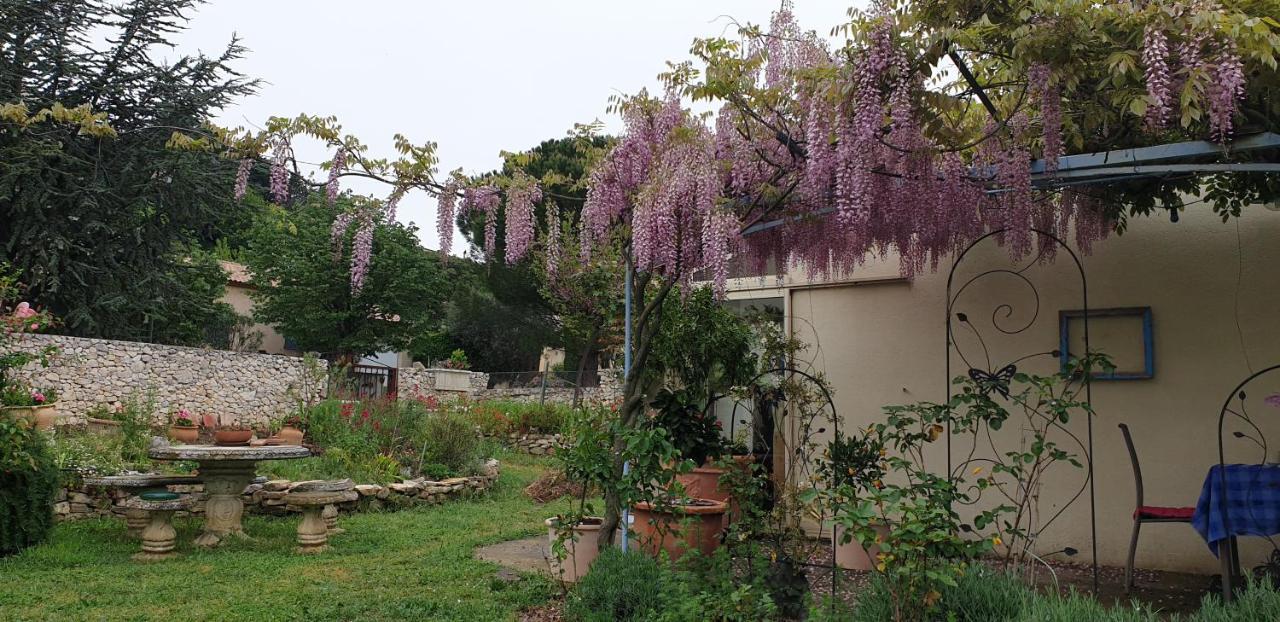 Pause couleur Lavandula Roussas Extérieur photo